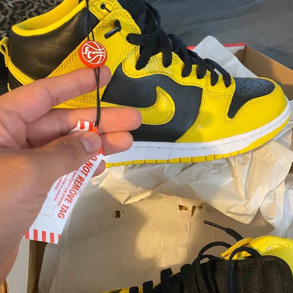 Nike Dunk HI SP